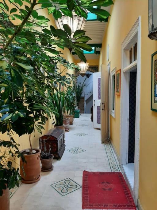 Hébergement de vacances La Fantasia Essaouira